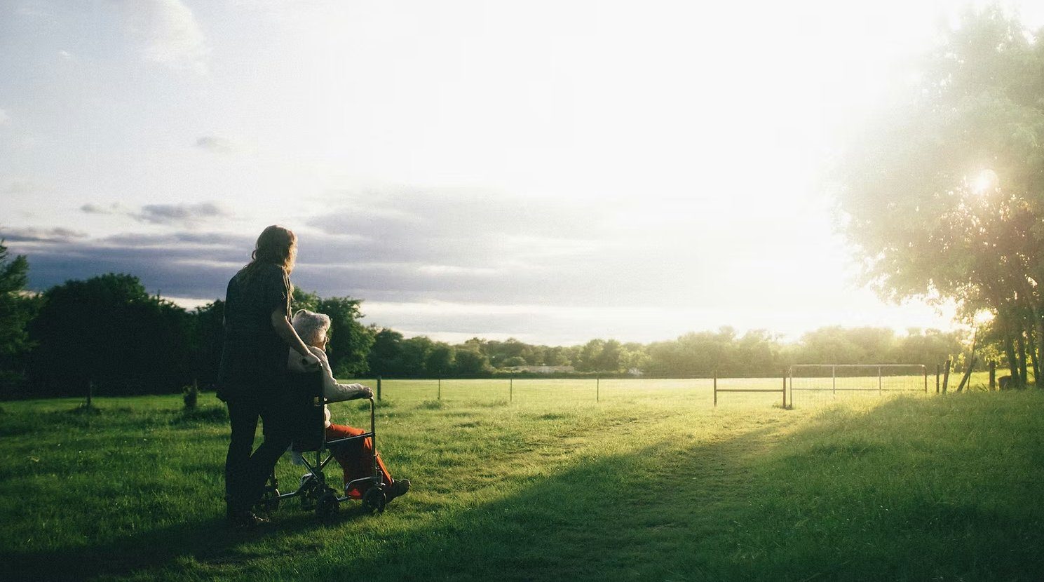 A carer gently pushing an elderly person in a wheelchair through a sunlit meadow at golden hour